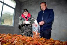 隆回羅洪鎮：清甜紅薯片成“香餑餑”