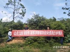 良久團購助力鄉村振興  花明樓油茶走向全國