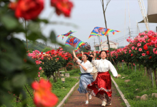 “湘”約五一·｜珠暉金甲玫瑰園：愛上一朵花 戀上這座園