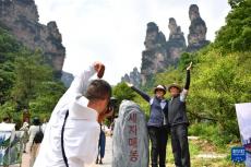 入境游持續升溫 張家界韓國游客數量大幅增長